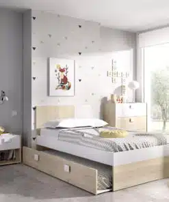 מיטת יחיד עם מיטת חבר