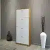 ארון אחסון נעליים