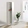 ארון נעליים עם מראת גוף
