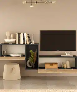 מזנון טלוויזיה צף