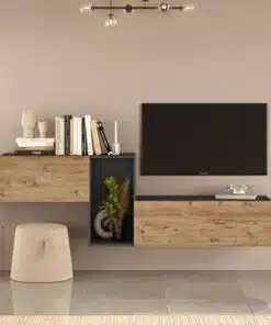 מזנון טלוויזיה צף מודרני