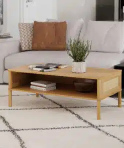 שולחן סלון ראטן מודרני