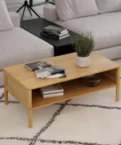 שולחן סלון ראטן מודרני סטייל מאסטר רהיטים