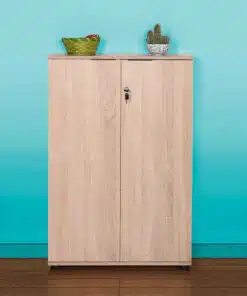 ארון עם מנעול מעץ