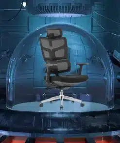 ארגונומיה למשרד
