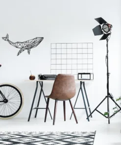 לווייתן גיאומטרי