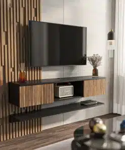 מזנון טלוויזיה צף