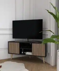 מזנון טלוויזיה