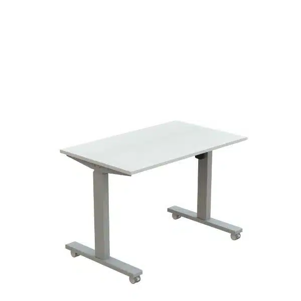 photo-31-photo-31a-photo-31b-photo-31c_1jpg - שולחן מתכוונן חשמלי חד מנועי עם גלגלים 100X60 ס"מ - שולחן כתיבה סטייל מאסטר רהיטים - רהיטים איכותיים לבית ולמשרד photo 31 photo 31a photo 31b photo 31c