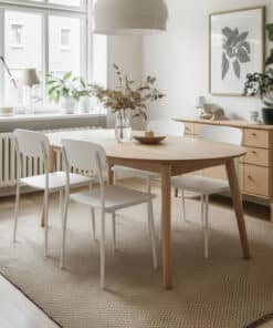 כיסא פינת אוכל