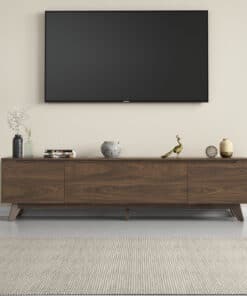 מזנון טלוויזיה