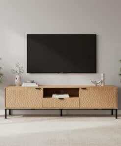 מזנון טלוויזיה