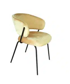כסא אוכל מודרני