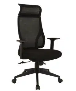 כסא אריתוגונומי