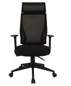 כסא אריתוגונומי