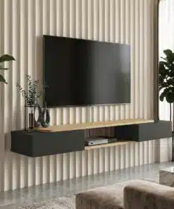 מזנון טלוויזיה צף