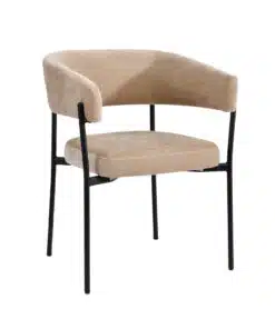 כסא אוכל מודרני