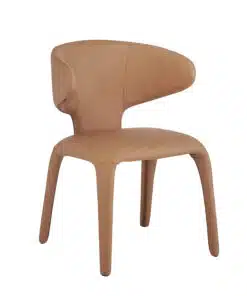 כסא דיוור