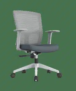 כיסא אורטופדי