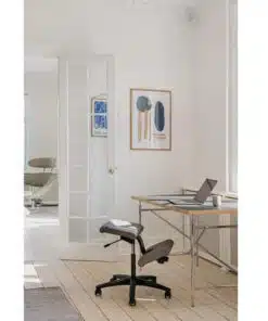 כיסא ברכיים