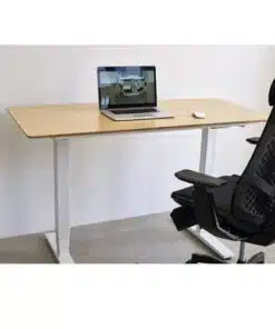 שולחן עבודה מתכוונן