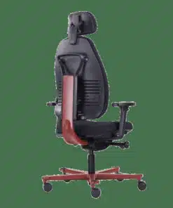 כיסא אורטופדי