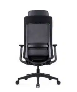 כיסא אורטופדי