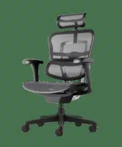 כיסא ארגונומי אורטופדי