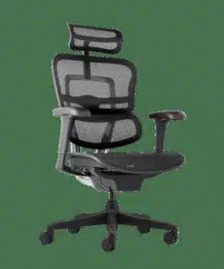 כיסא ארגונומי עם משענת ראש