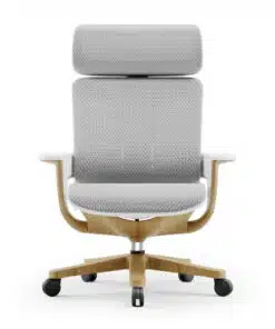 כיסא משרדי ארגונומי