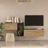 מזנון טלוויזיה צף