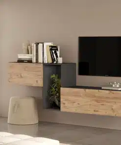 מזנון טלוויזיה צף