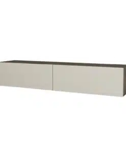 מזנון טלוויזיה צף